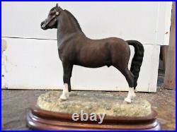 Fine Arts Welsh Mountain Pony Stallion section A