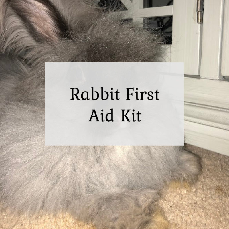 Rabbit First Aid Kit