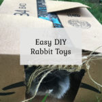 Easy DIY Rabbit Toys