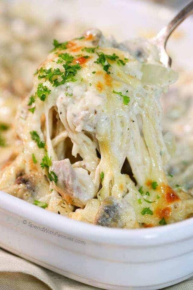 Turkey Tetrazzini