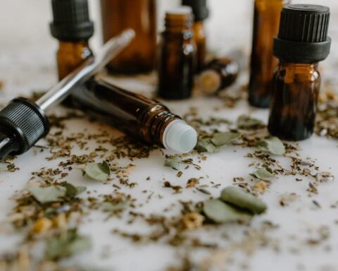 Is Eucalyptus Oil Safe For Dogs