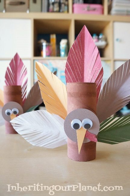 Toilet-Paper-roll-Turkey