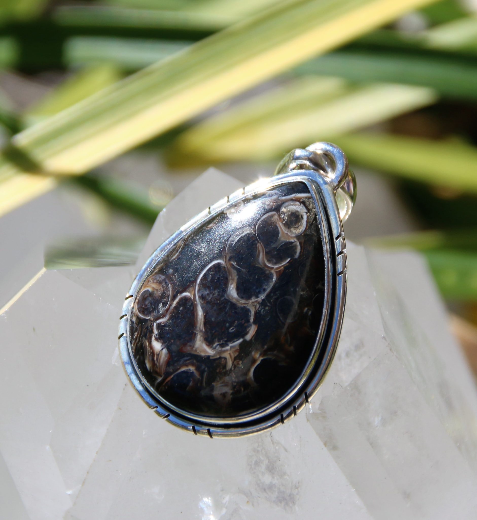 Turritella Agate Pendant in silver