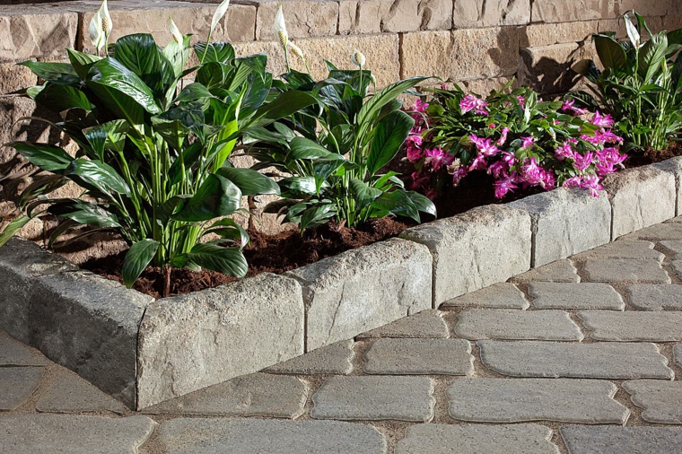 jardin plantes bordure pierre