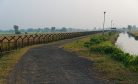 Why India’s Fence Along its Bangladesh Border Riles Dhaka