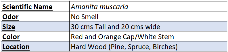 Amanita Muscaria Chart