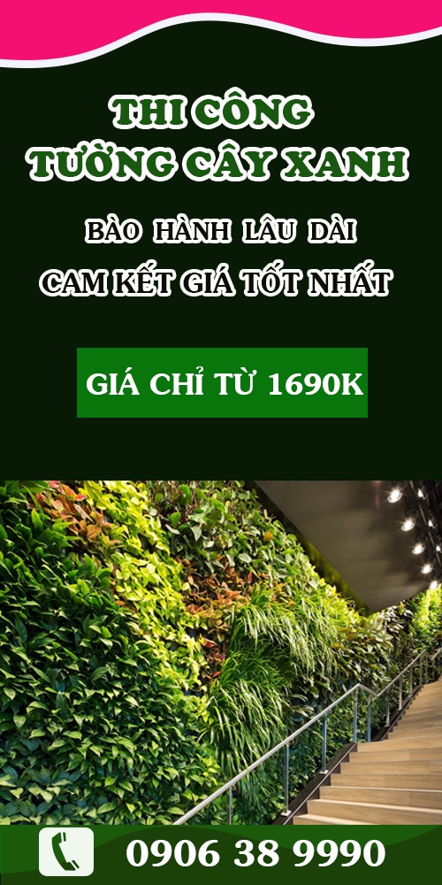 tường cây xanh