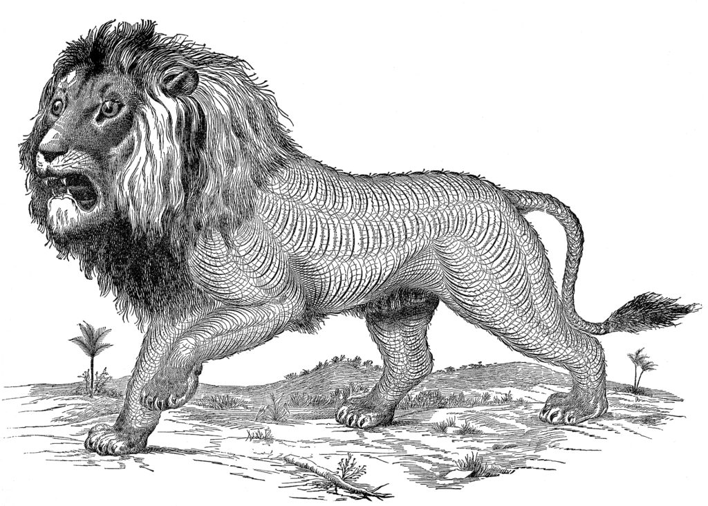 spencerian lion black white clipart