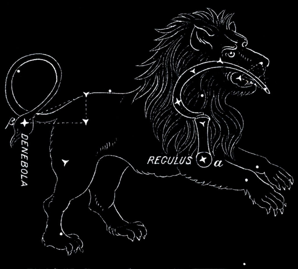 vintage astronomy leo constellation horoscope image