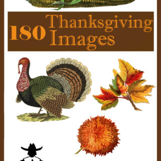 Happy Thanksgiving Images