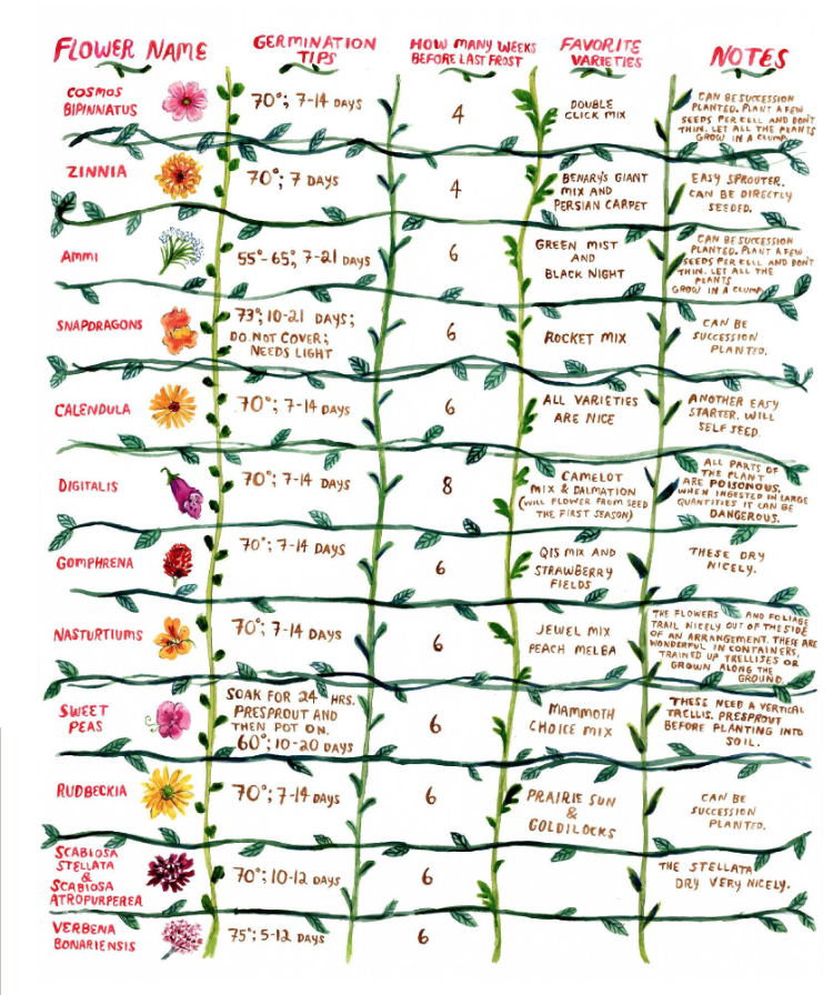 Printable Medicinal Herb Chart