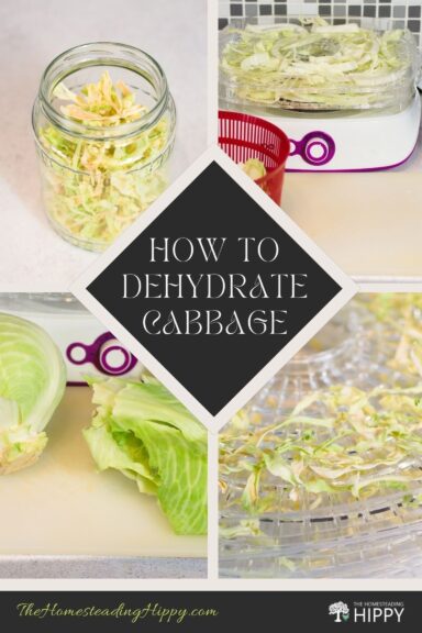 dehydrating cabbage pin image