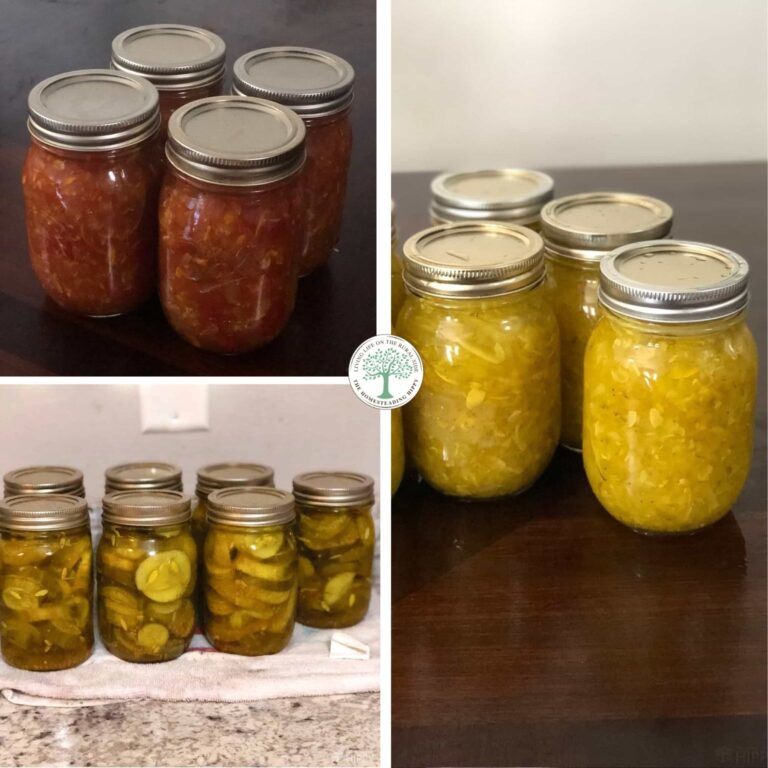 zucchini preservation featured