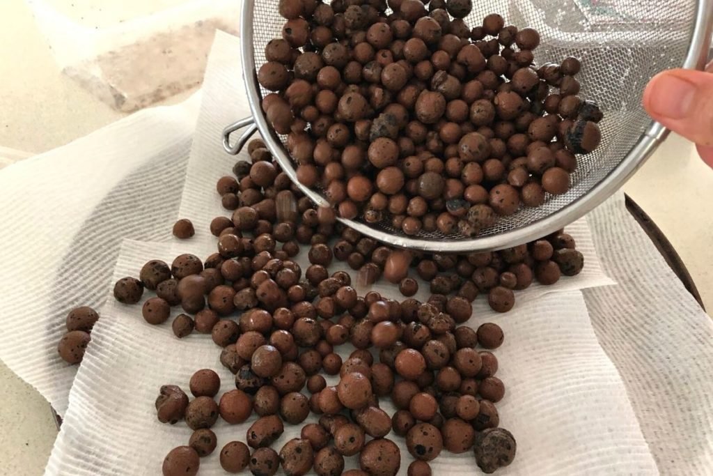 dry leca balls for 24 hours