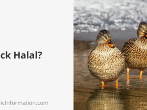 duck halal