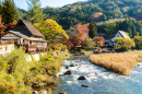 Autumn Landscape in Japan