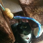 Easiest ever cat toys made from wine corks and wool!