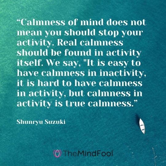 “Calmness of mind does not mean you should stop your activity. Real calmness should be found in activity itself. We say, "It is easy to have calmness in inactivity, it is hard to have calmness in activity, but calmness in activity is true calmness.” ― Shunryu Suzuki