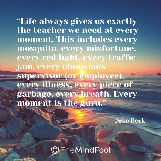 “Life always gives us exactly the teacher we need at every moment. This includes every mosquito, every misfortune, every red light, every traffic jam, every obnoxious supervisor (or employee), every illness, every piece of garbage, every breath. Every moment is the guru.” - Joko Beck