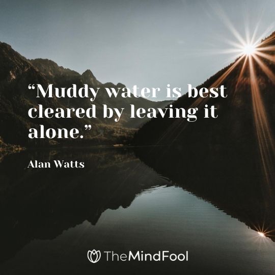 “Muddy water is best cleared by leaving it alone.” - Alan Watts