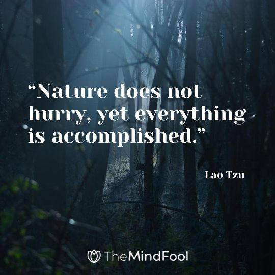 “Nature does not hurry, yet everything is accomplished.” ― Lao Tzu