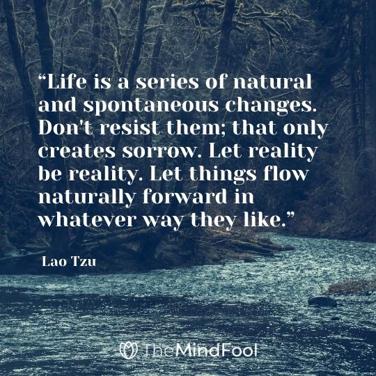 “Life is a series of natural and spontaneous changes. Don't resist them; that only creates sorrow. Let reality be reality. Let things flow naturally forward in whatever way they like.” ― Lao Tzu