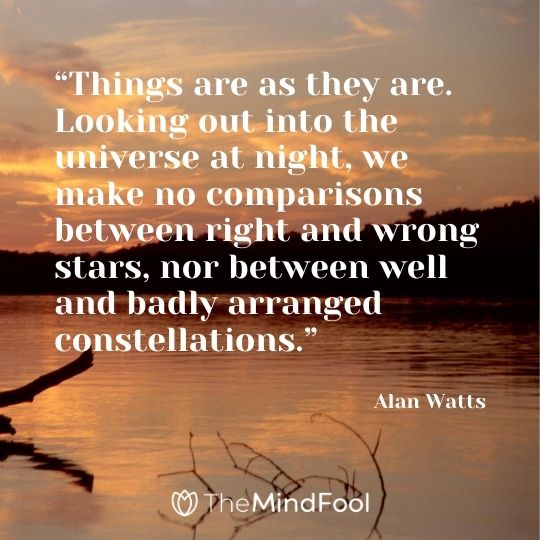 “Things are as they are. Looking out into the universe at night, we make no comparisons between right and wrong stars, nor between well and badly arranged constellations.” - Alan Watts