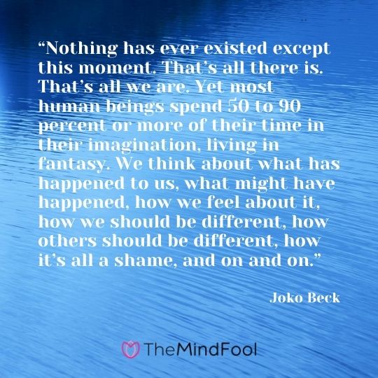 “Nothing has ever existed except this moment. That’s all there is. That’s all we are. Yet most human beings spend 50 to 90 percent or more of their time in their imagination, living in fantasy. We think about what has happened to us, what might have happened, how we feel about it, how we should be different, how others should be different, how it’s all a shame, and on and on.” - Joko Beck