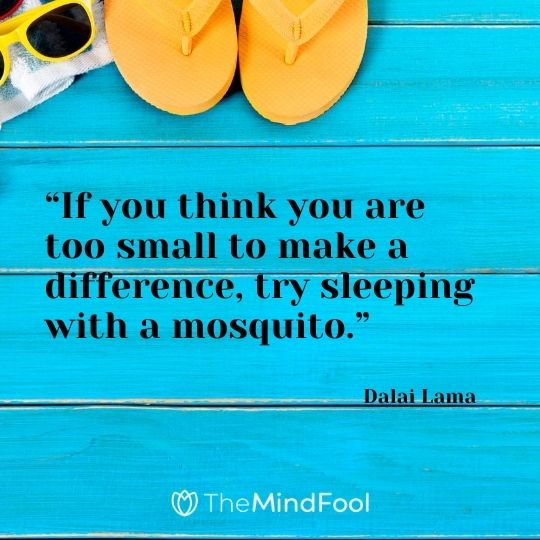 “If you think you are too small to make a difference, try sleeping with a mosquito.” - Dalai Lama