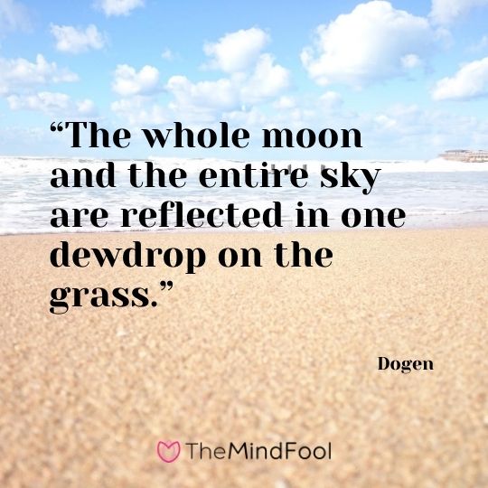 “The whole moon and the entire sky are reflected in one dewdrop on the grass.” - Dogen