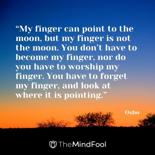 “My finger can point to the moon, but my finger is not the moon. You don’t have to become my finger, nor do you have to worship my finger. You have to forget my finger, and look at where it is pointing.” - Osho 