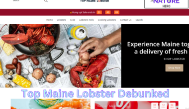 Top Maine Lobster Debunked