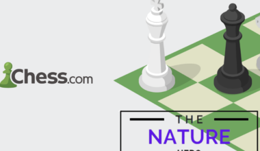 chess.com wrapped