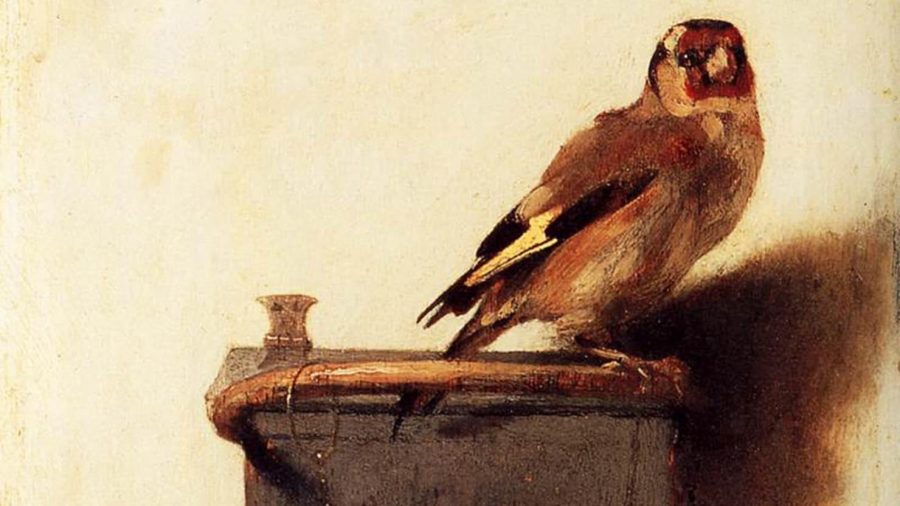 Cover art for "The Goldfinch" by Carel Fabritius.