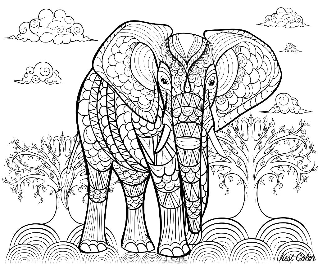 Elephant colouring in page for children and teens