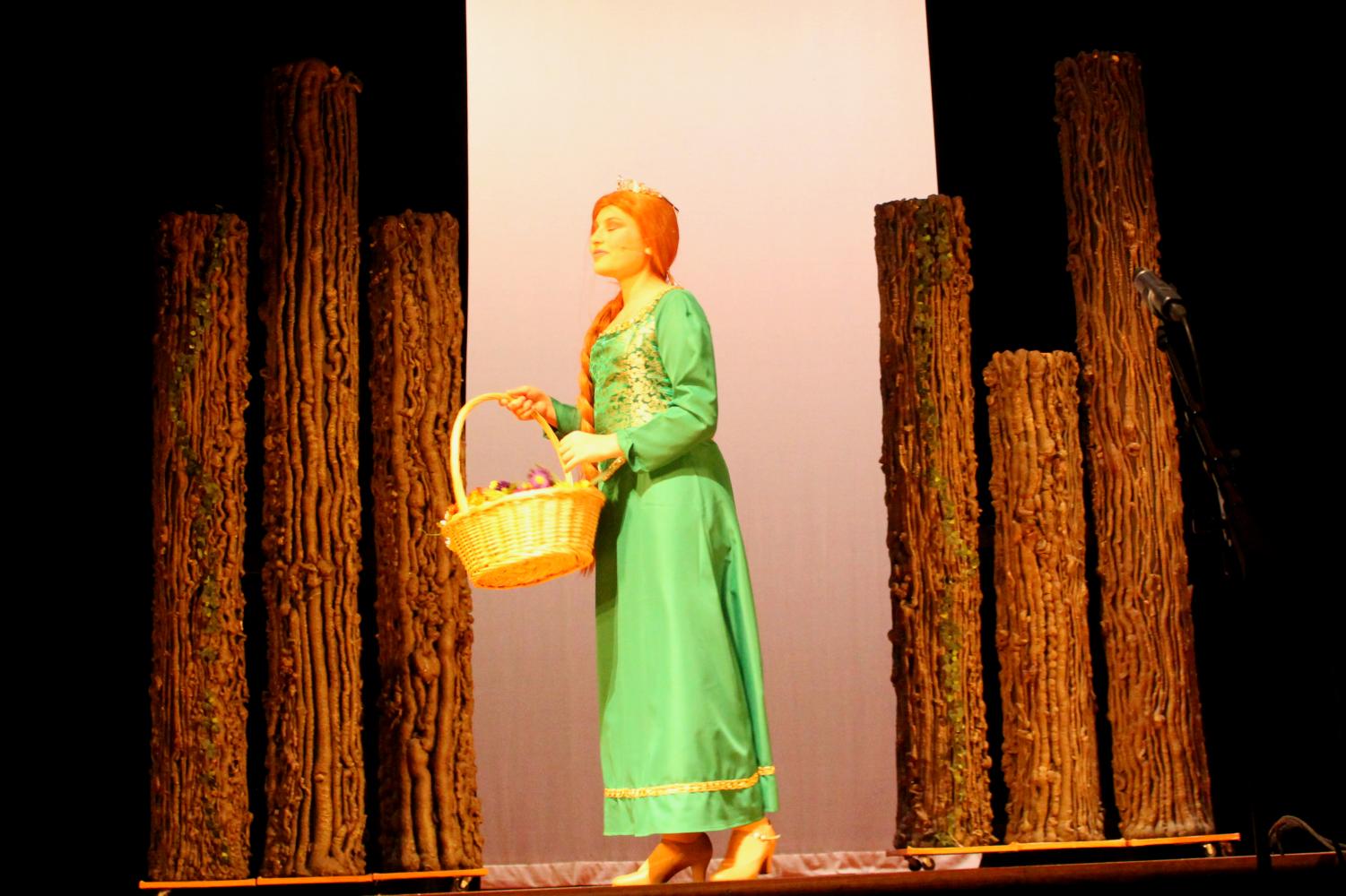 Shrek The Musical Takes Stage