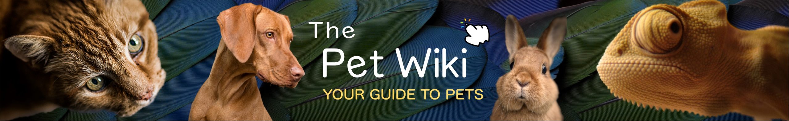 The Pet Wiki