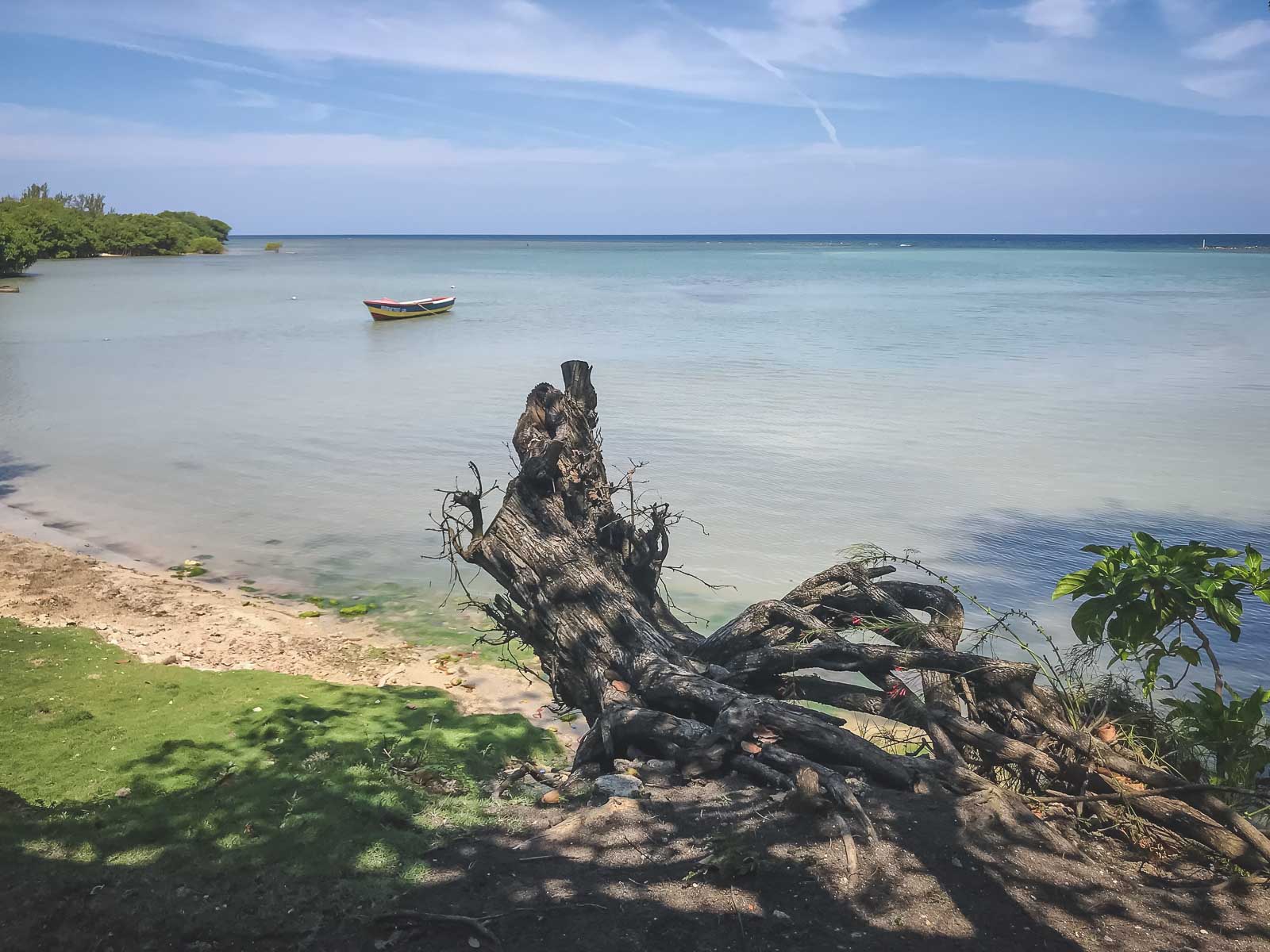 Best Beaches in Jamaica  Winnifred Beach