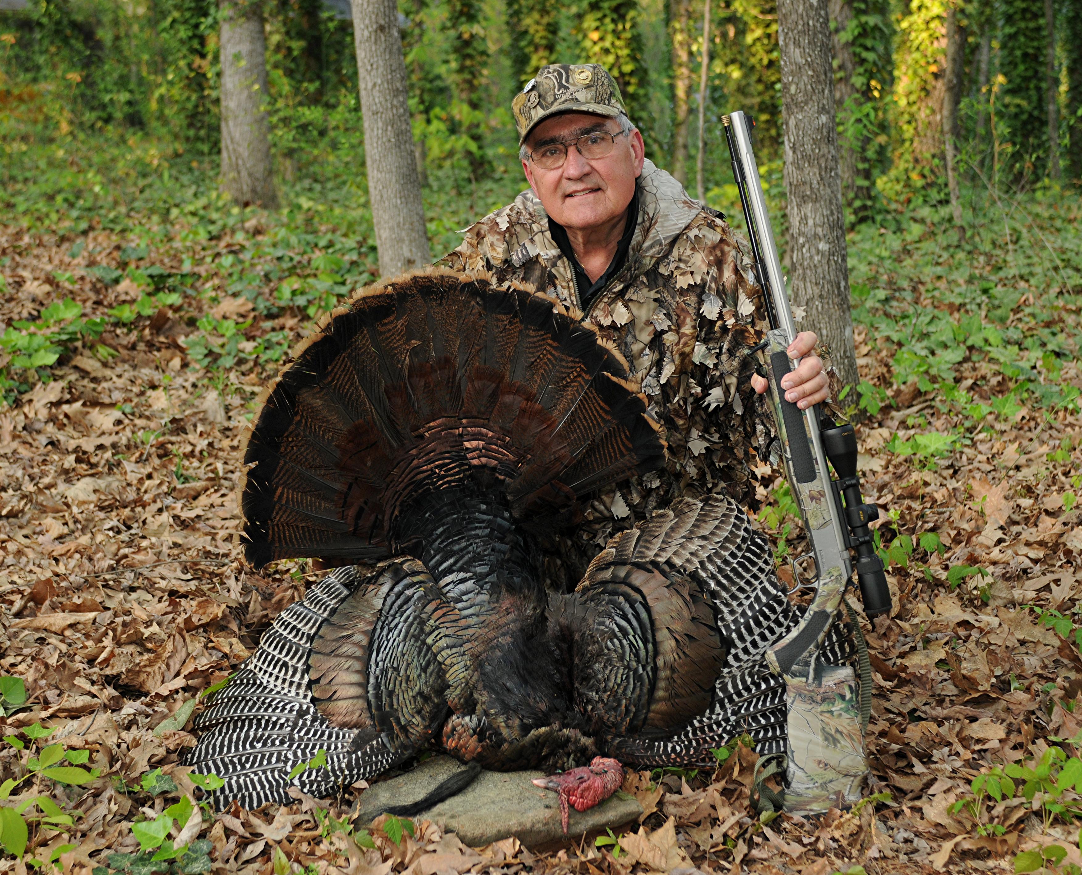 Wild Turkeys Facts and Hunting – The Poultry Guide