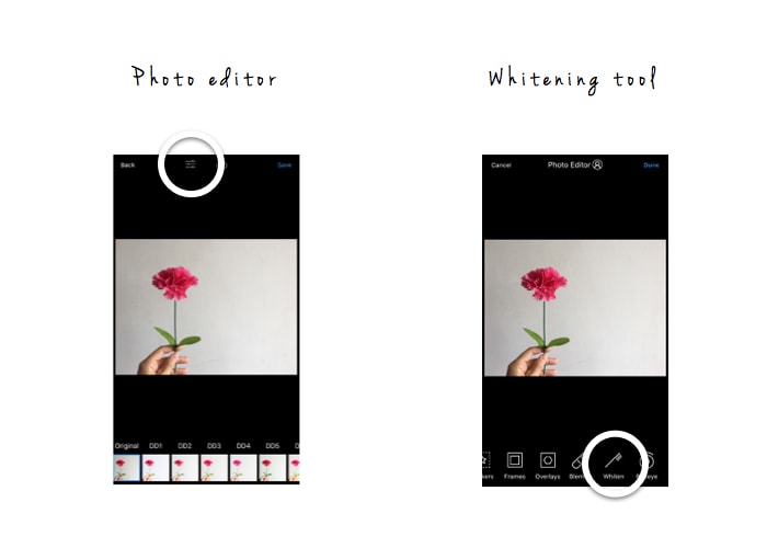 The Easiest Way to Make a White Background for Instagram Photos