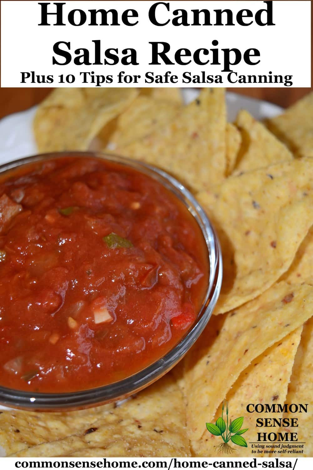 Salsa Canning Recipe
 Home Canned Salsa Recipe Plus 10 Tips for Canning Salsa