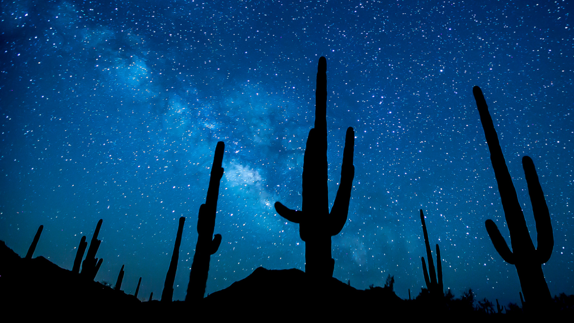 Sonoran Desert National Monument, photo by Bob Wick/BLM