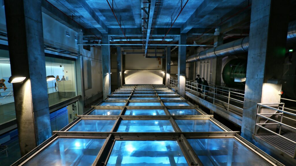 People stand above a glass tank with metal rails on top inside looking in.