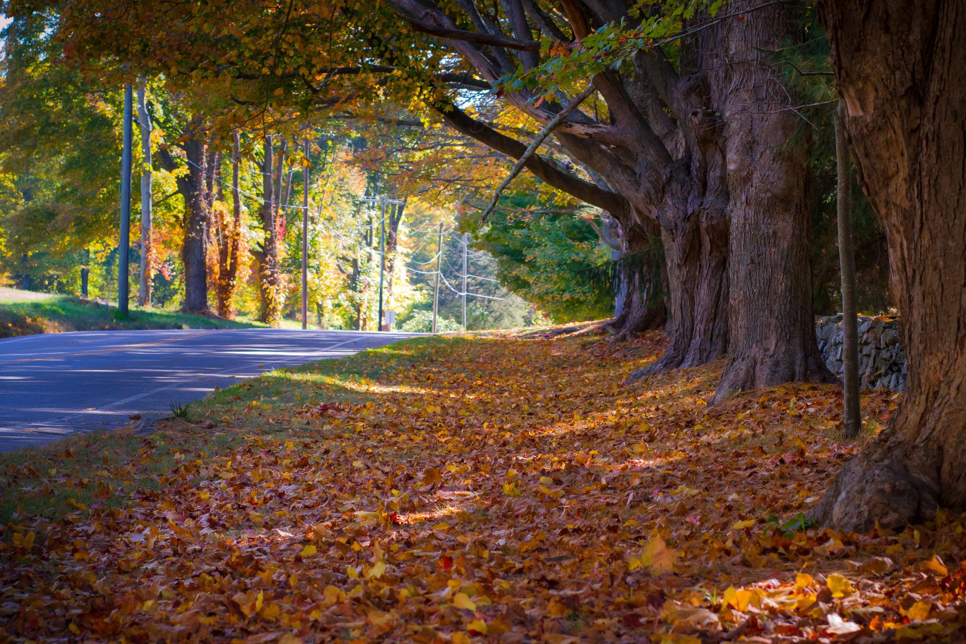 The Most Beautiful Places for Leaf Peeping This Fall (2024)