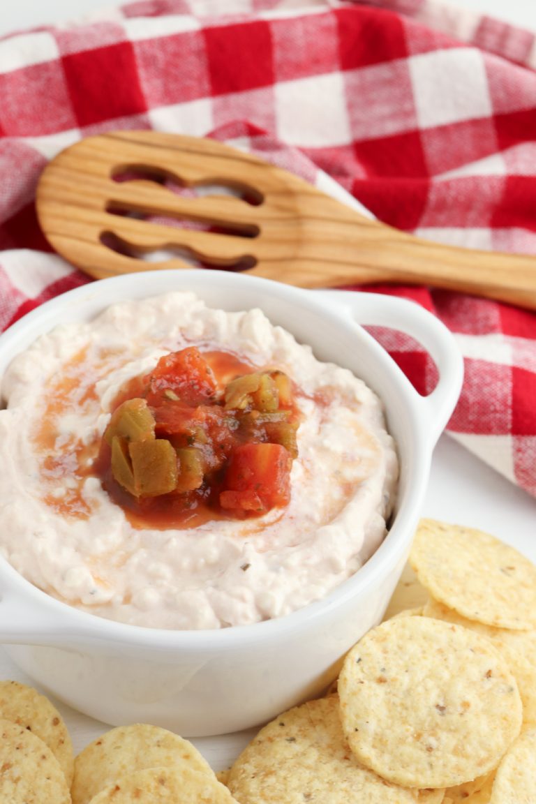 Creamy Salsa Dip in a bowl with chips