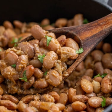 Close up view of a wooden spoon holding pinto beans.