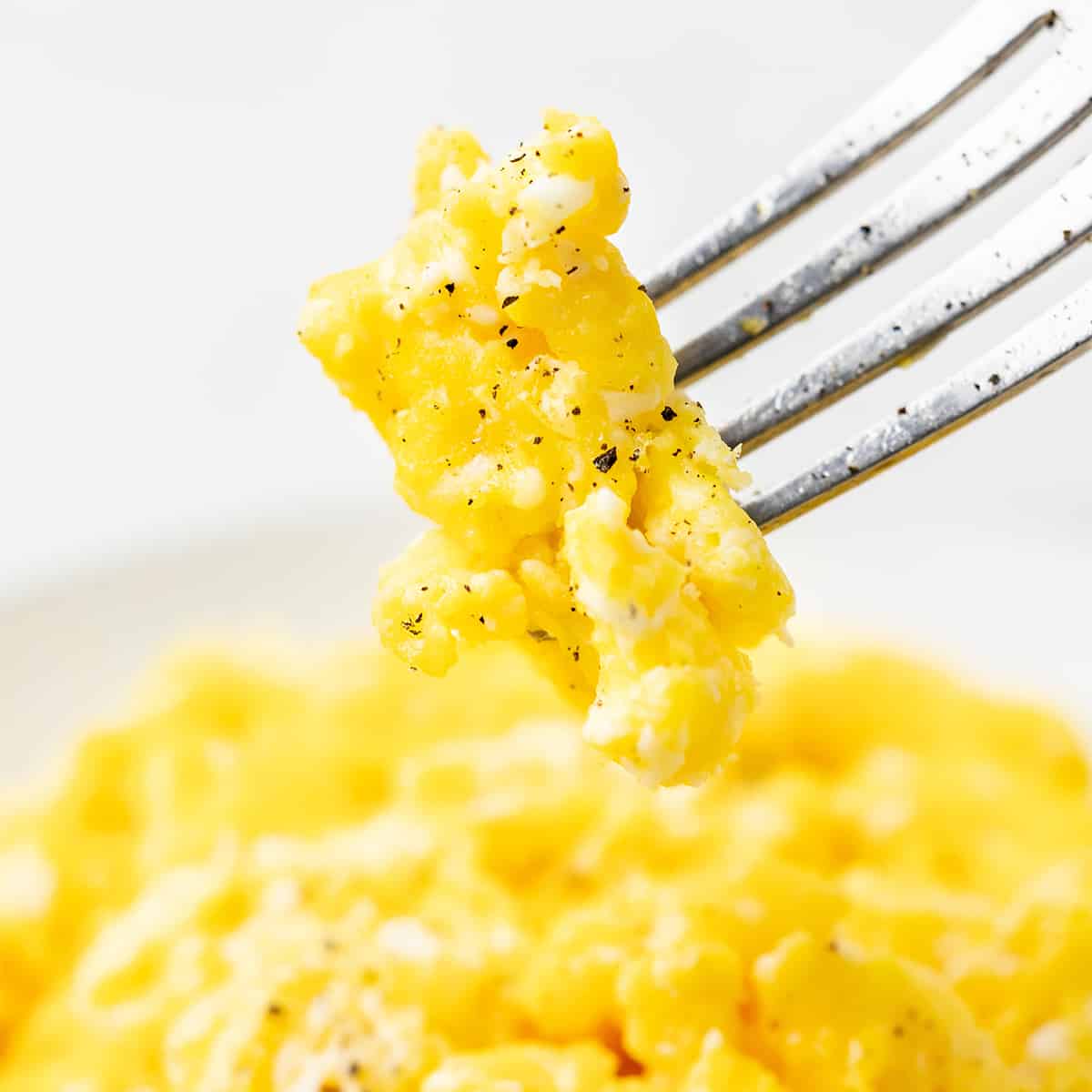 Close up view of a bite of scrambled eggs on a fork.