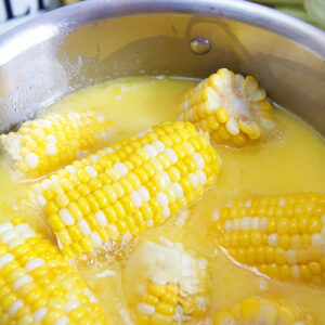 Corn on the cob in a stainless steel pot.