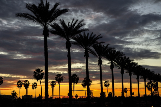 Think You Know The Anaheim Stadium?