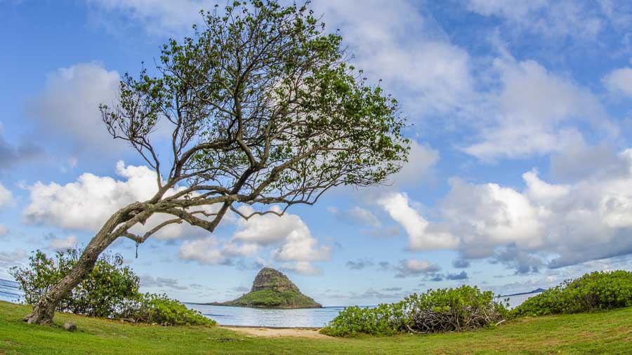 kualoa Beach Park before sunset